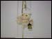 BL-RU6112B Ghost Ornament