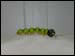 CW-BUT686 Centipede