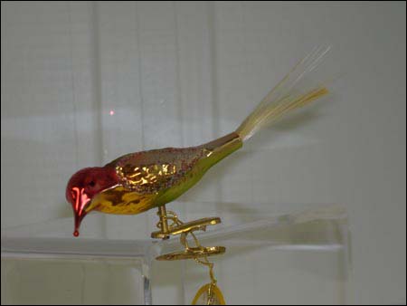 IG-108703 Sweet Citrus