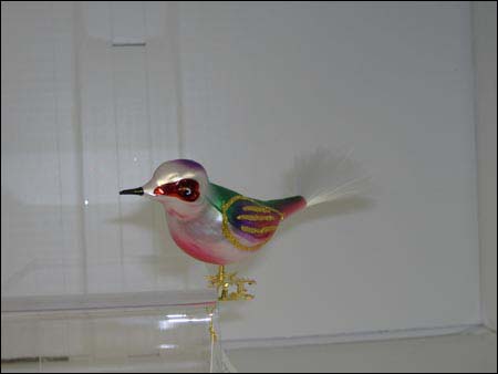 IG-115705 Carnival Bird