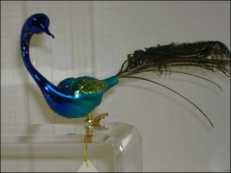 IG-116005 Magnificent Peacock