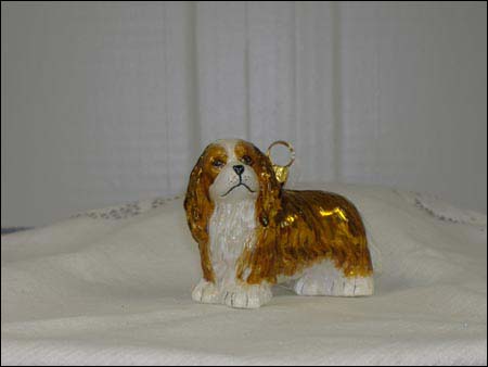 ZKP-1811BR Cavalier King Charles