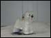 ZKP-1721 Westie