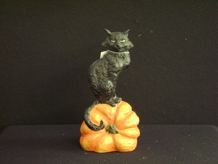 KK-40667B Cat Sitting on Pumpkin