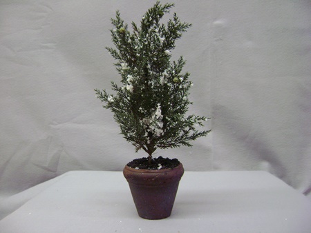 KK-51577A Frosted Icy Tree in Clay Pot