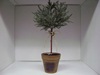 KK-10303A Cypress Ball Topiary
