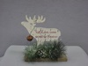 KK-53328C Red & White Reindeer Message