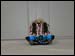 MH-M158B Peppermint Pyramid (Blue)