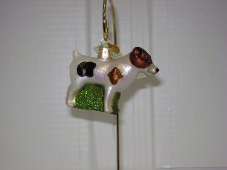 OWC-12218 Jack Russell Terrier