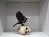 BL-TD2298 Haunted Raven on Skull